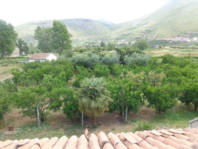 Terreno fronte strada